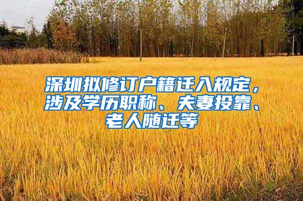 深圳拟修订户籍迁入规定，涉及学历职称、夫妻投靠、老人随迁等