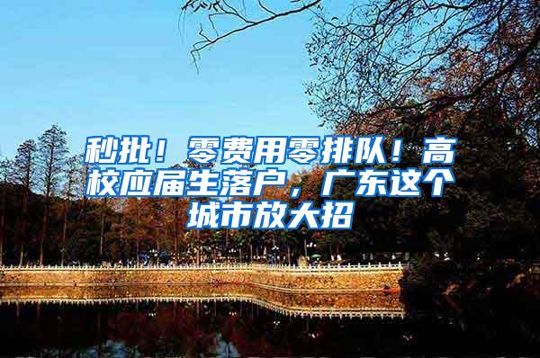 秒批！零费用零排队！高校应届生落户，广东这个城市放大招