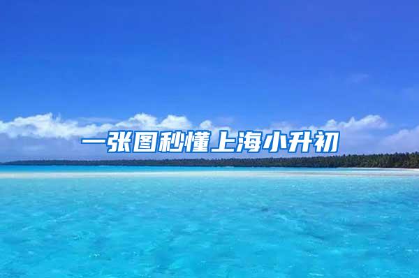 一张图秒懂上海小升初