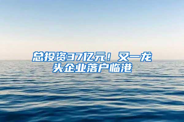 总投资37亿元！又一龙头企业落户临港