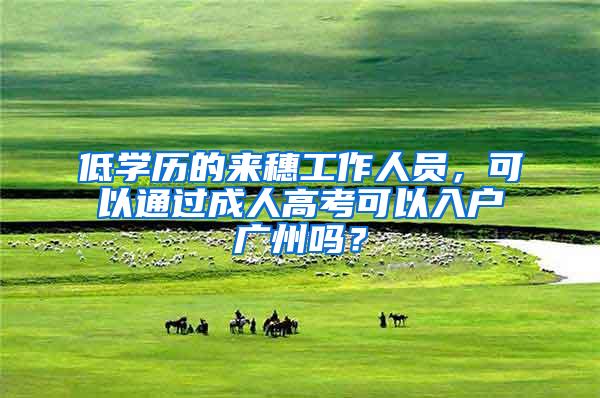 低学历的来穗工作人员，可以通过成人高考可以入户广州吗？