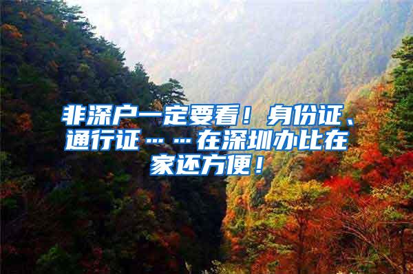 非深户一定要看！身份证、通行证……在深圳办比在家还方便！