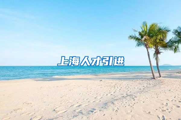 上海人才引进