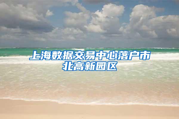 上海数据交易中心落户市北高新园区