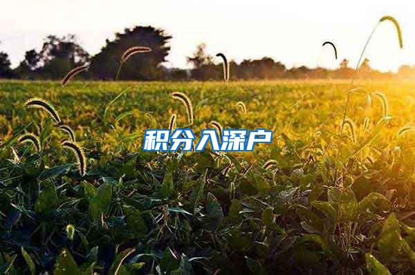 积分入深户