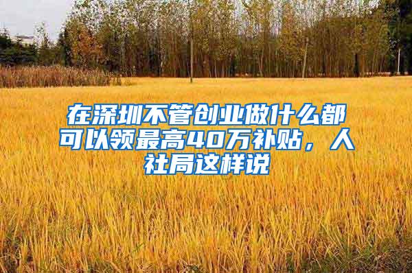 在深圳不管创业做什么都可以领最高40万补贴，人社局这样说