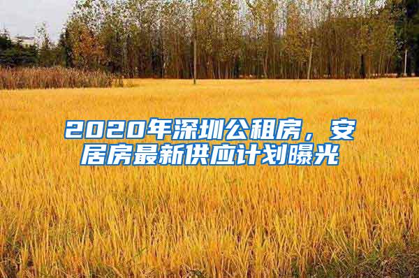 2020年深圳公租房，安居房最新供应计划曝光