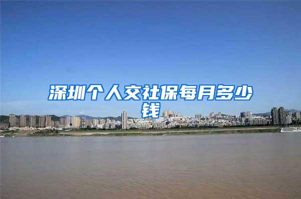 深圳个人交社保每月多少钱