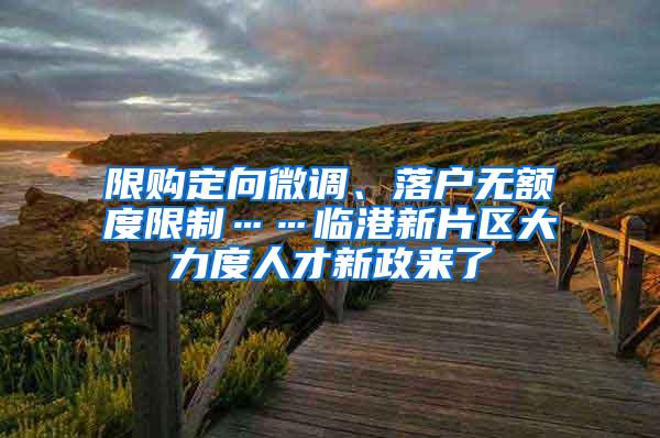 限购定向微调、落户无额度限制……临港新片区大力度人才新政来了