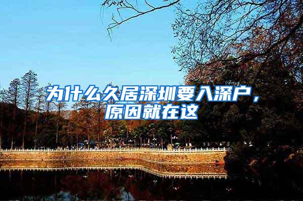 为什么久居深圳要入深户，原因就在这