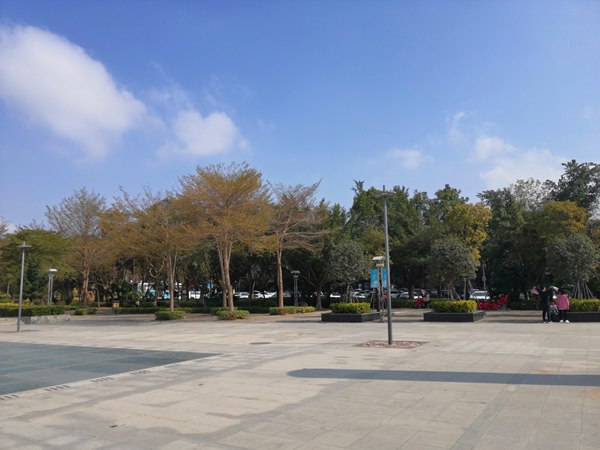 公司入深户