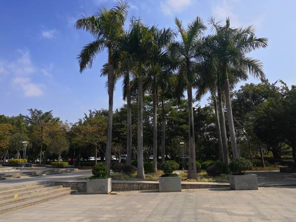 深圳没有房子怎样落户口