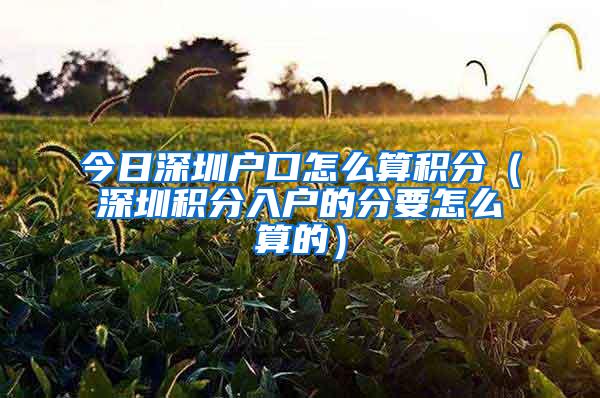 今日深圳户口怎么算积分（深圳积分入户的分要怎么算的）