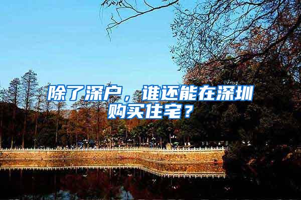 除了深户，谁还能在深圳购买住宅？