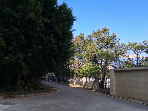 深圳入户会计资格证有加分吗