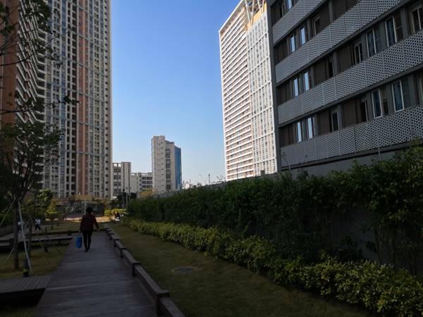 深圳办理入户加分表