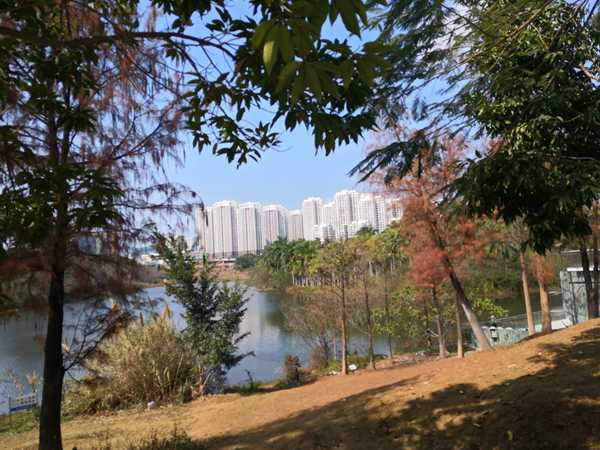 2022深圳户口入户政策