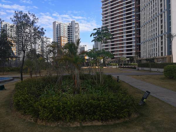 个人办理深圳户口流程