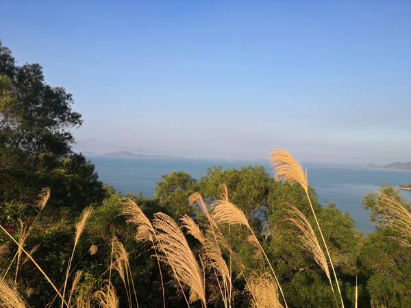 深圳一个户口可以挂靠几个人
