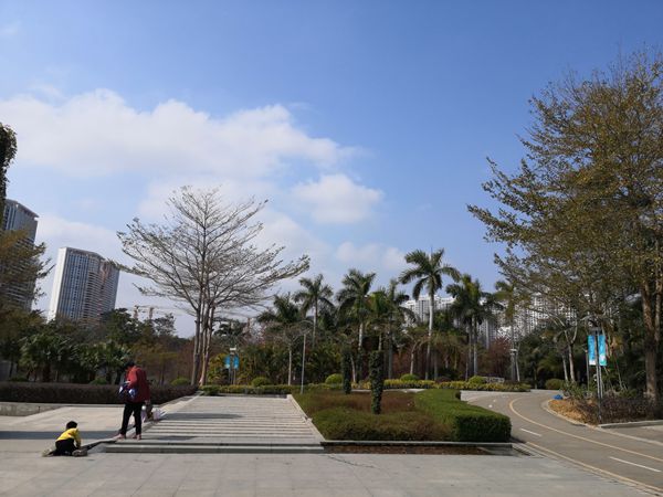 新入户规定深圳