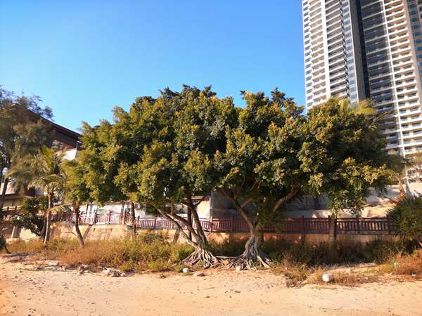 深圳户口已经审批同意后面流程