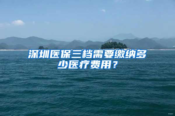 深圳医保三档需要缴纳多少医疗费用？