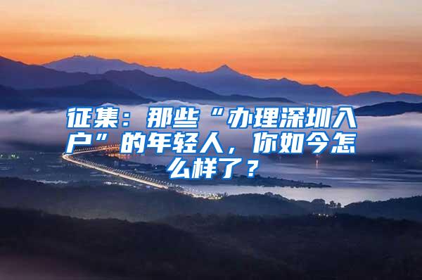征集：那些“办理深圳入户”的年轻人，你如今怎么样了？
