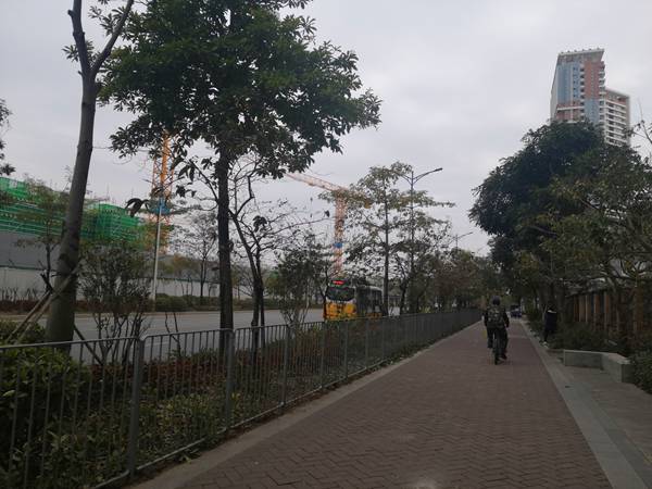 父母随子女落户深圳办理时间