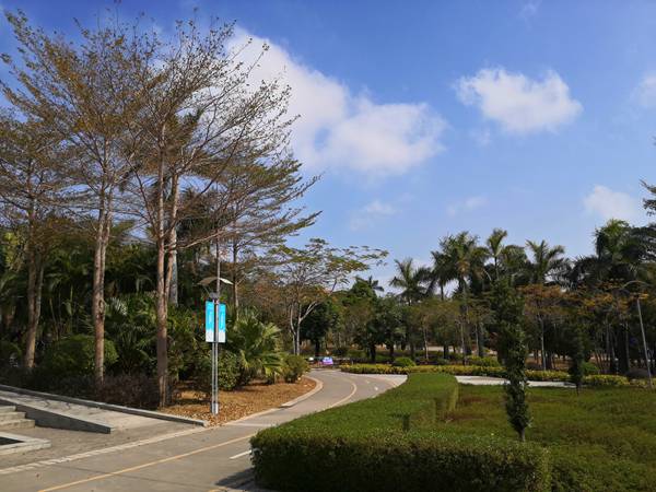 深圳户口买房需要什么条件2022