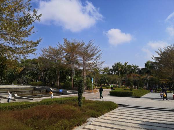 公司名义入深户条件