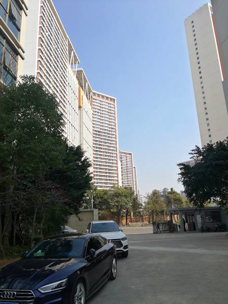 入户深圳政策