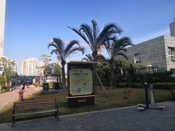 个人身份落户深圳