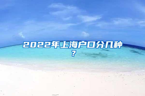 2022年上海户口分几种？