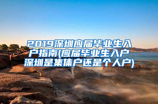 2019深圳应届毕业生入户指南(应届毕业生入户深圳是集体户还是个人户)