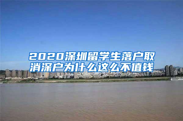 2020深圳留学生落户取消深户为什么这么不值钱