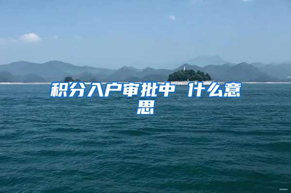 积分入户审批中 什么意思