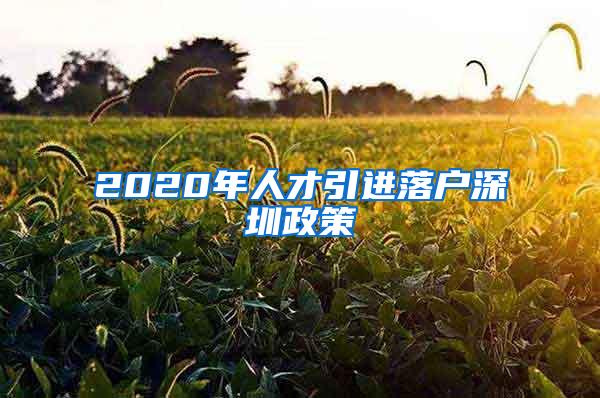 2020年人才引进落户深圳政策