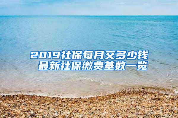 2019社保每月交多少钱 最新社保缴费基数一览