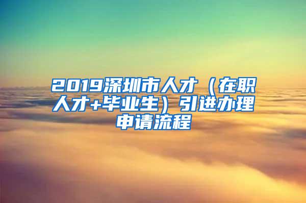 2019深圳市人才（在职人才+毕业生）引进办理申请流程