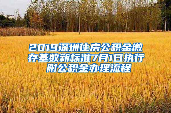 2019深圳住房公积金缴存基数新标准7月1日执行 附公积金办理流程