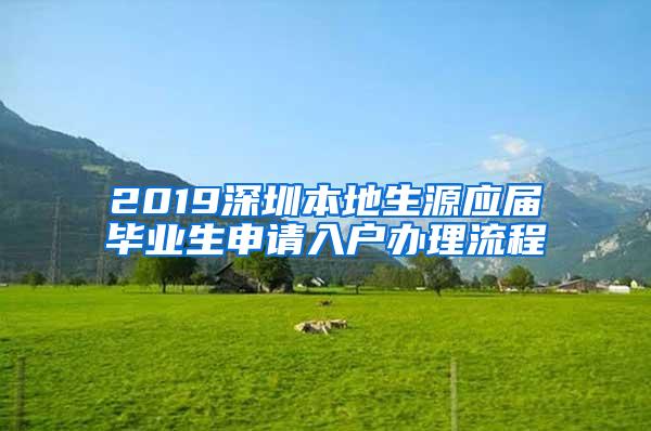 2019深圳本地生源应届毕业生申请入户办理流程