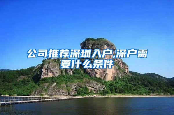 公司推荐深圳入户,深户需要什么条件