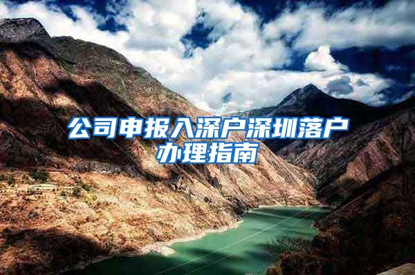 公司申报入深户深圳落户办理指南