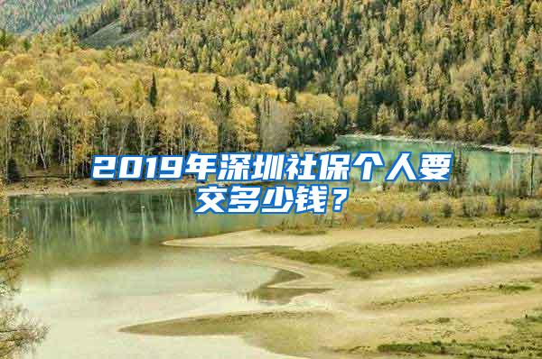 2019年深圳社保个人要交多少钱？