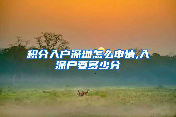 积分入户深圳怎么申请,入深户要多少分