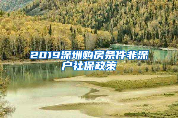 2019深圳购房条件非深户社保政策
