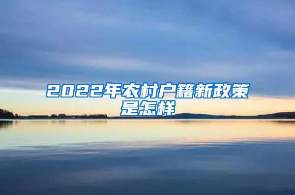 2022年农村户籍新政策是怎样