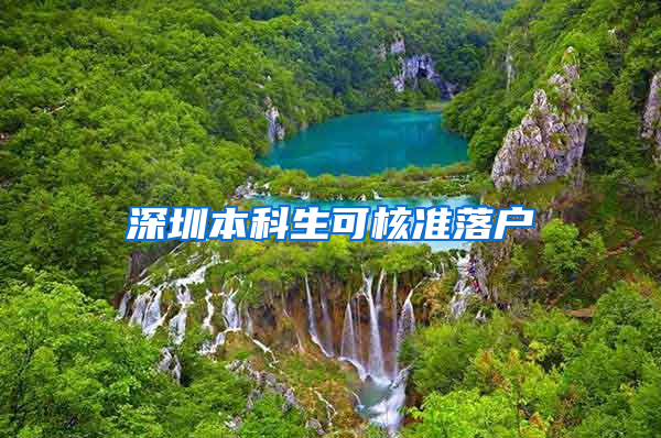 深圳本科生可核准落户