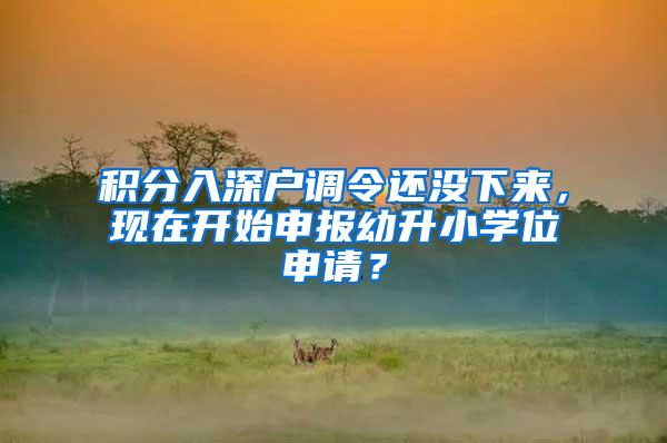 积分入深户调令还没下来，现在开始申报幼升小学位申请？
