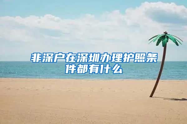 非深户在深圳办理护照条件都有什么